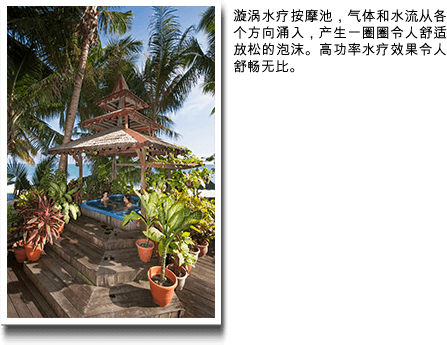 Jacuzzi whirlpool spas with jets (cn)